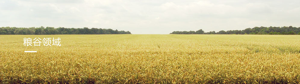 糧谷領(lǐng)域